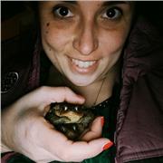 Laurea triennale, specialistica, master, dottorato in scienze umane